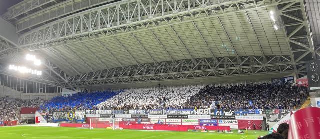 1663593688787003930.jpg 9.jpg